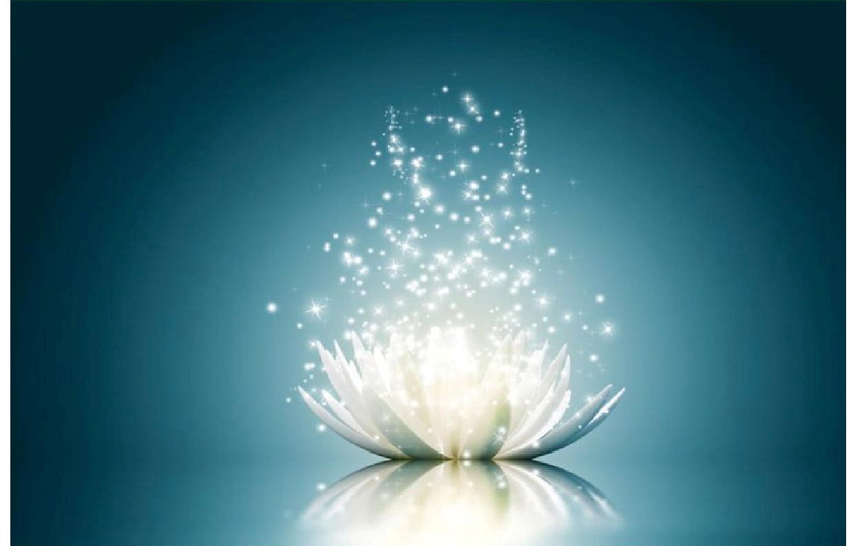 Lotus magnetisme