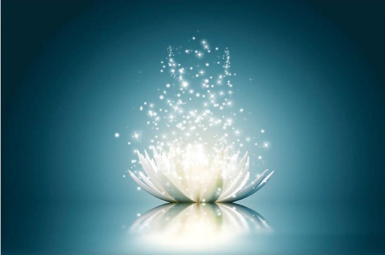 Photo lotus magnetisme 1